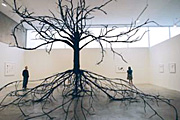 SFMOMA Artists Gallery: Irish Artists In US